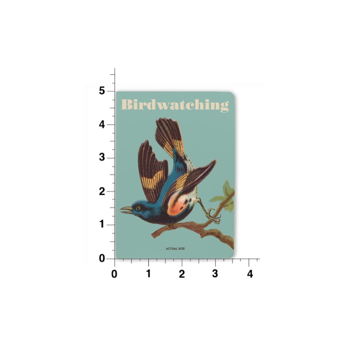 UPG - Birdwatching Notebook - Notegeist