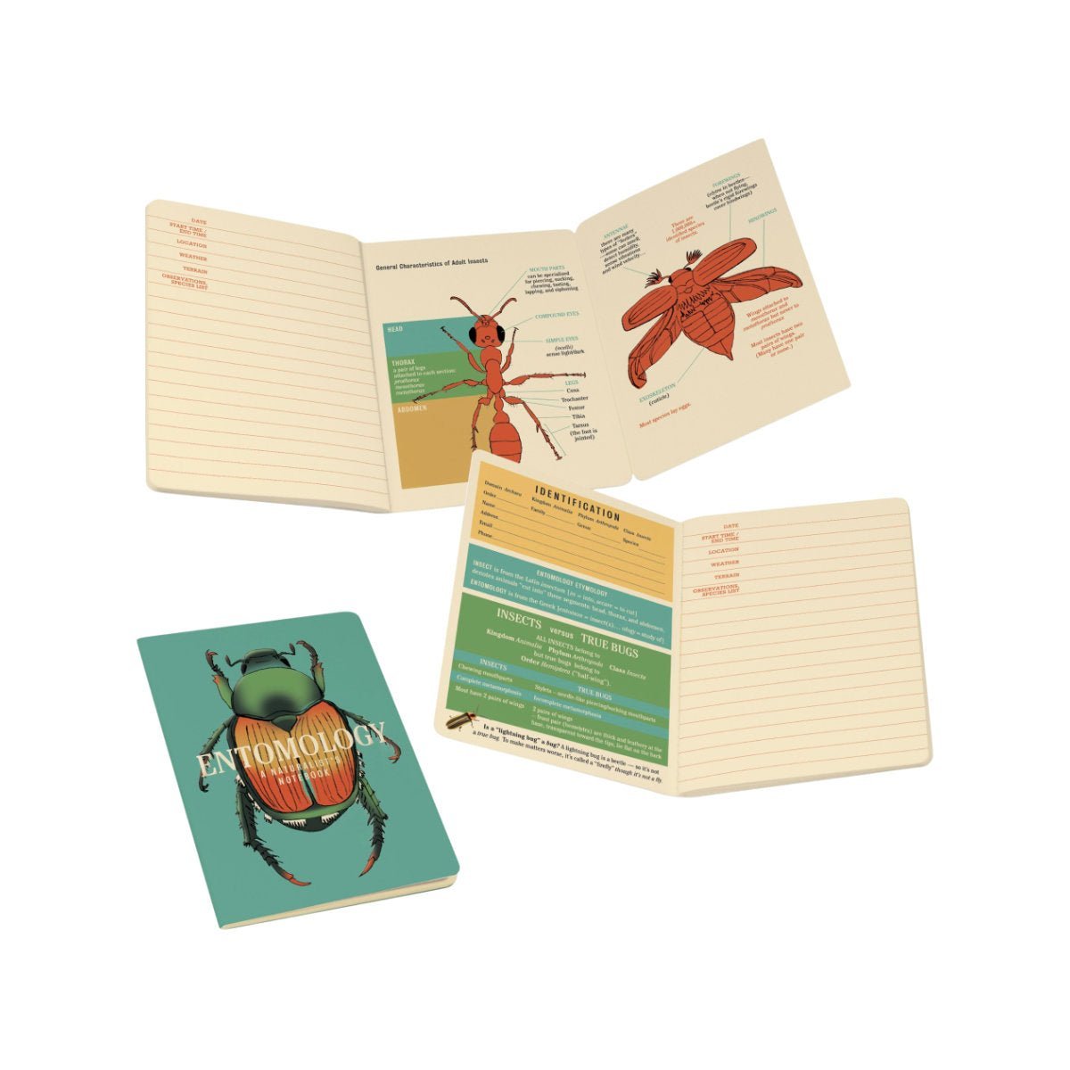 UPG - Entomology Notebook - Notegeist