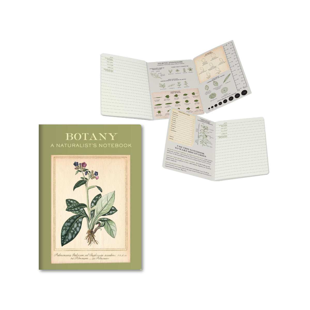 UPG - Botany Notebook - Notegeist